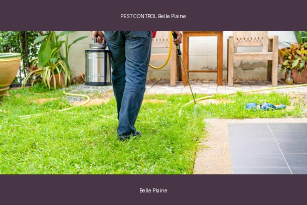 PEST CONTROL Belle Plaine